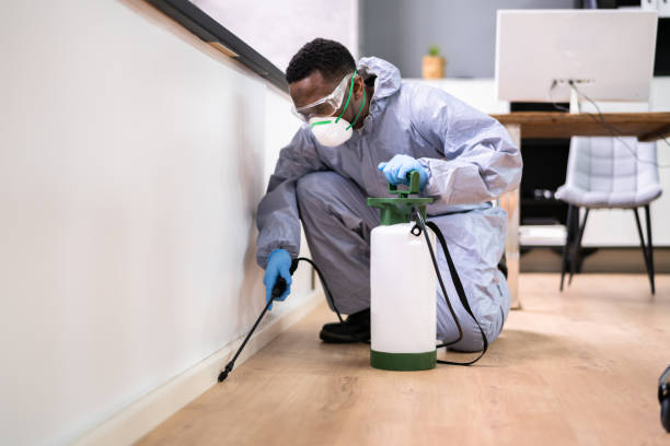 Best Commercial Pest Control  in Willacoochee, GA